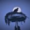 Full moon Osprey