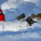Snowy Beak Birdies