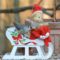 Tufted Titmouse with Elf on the Shelf