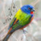 Painted Bunting Out of Range