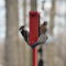 Female Downy Woodpecker and Eastern Bluebird Briefly Tolerate each other at the feeder