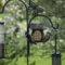 Spring dining at the suet feeder