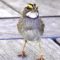 White throated Sparrow with an attitude!