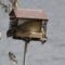 Unusual warblers at suet feeder