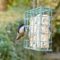 Black-capped Chickadee visits a suet feeder