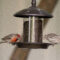 Finch Thistle feeder