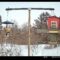 White bellied nuthatch and house finches at the feeders.