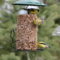 Gold finches at block feeder.